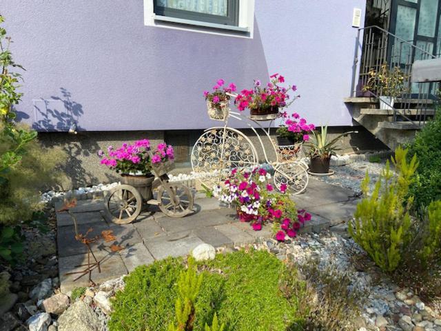 Haus Lila Welle Apartment Nordhalben Exterior photo